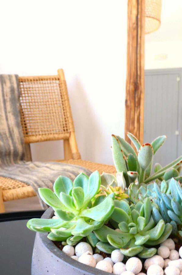 Beach Apartment Thalia With Hot Tub And Sea View Agios Prokopios  Ngoại thất bức ảnh