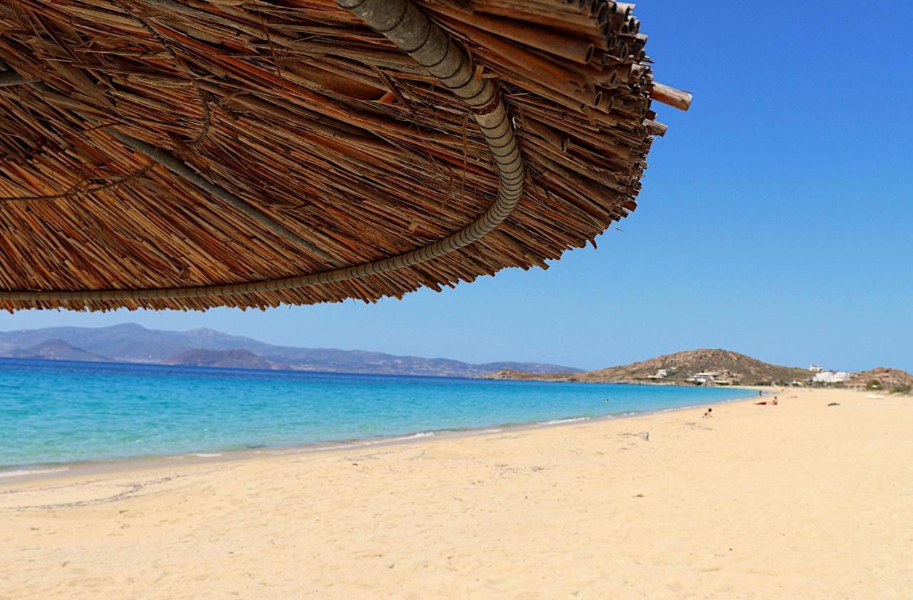 Beach Apartment Thalia With Hot Tub And Sea View Agios Prokopios  Ngoại thất bức ảnh
